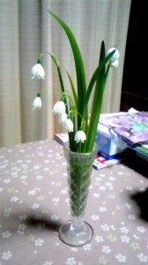 鈴蘭？ではなさそうですね・・・・ 写真