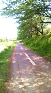 ふと足を止め・・・元気をもらう（＾０＾） 写真