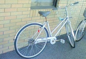 いちょう一号二号大活躍！ 写真