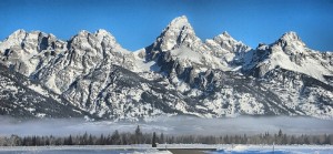 ご存知ですか？トラベルヘルパー 写真