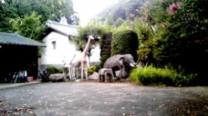 野生の王国!? 写真