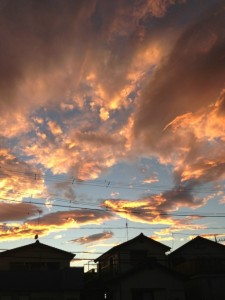 秋の日はつるべ落とし 写真