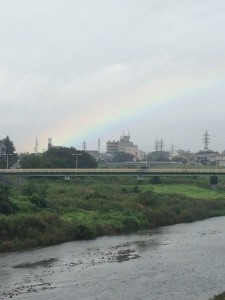 気持ちも七色になりました。 写真