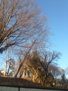 今年は西南西 写真