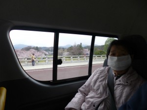 お花見ドライブ 写真