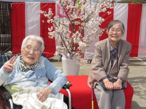 ー　平成28年　八王子　桜まつり！　パート１　－ 写真