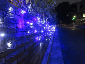 今年の新作！！ 写真