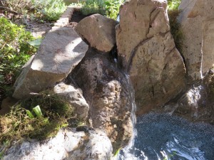 花壇に池が出現！ 写真