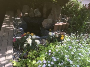 イングリッシュガーデン！ 写真