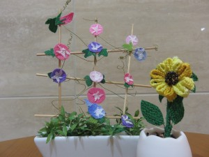 ♪夏の到来♪ 写真