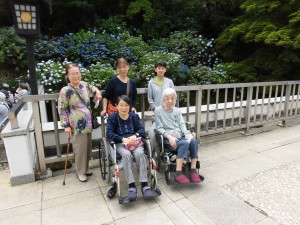 アジサイ見学♪ 写真