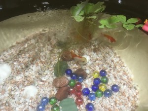 水中に咲く　花です 写真