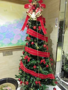 今年もこの季節がやってきました！！ 写真