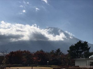 秋の日帰り旅行 写真