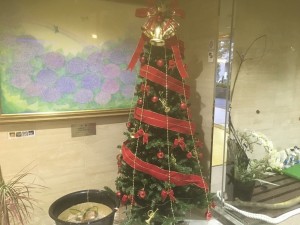 金魚さんたちも冬を越します 写真