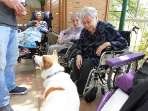 アニマルセラピー 写真