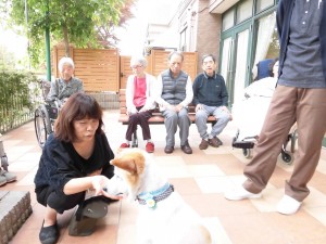 アニマルセラピー 写真