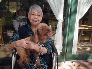 アニマルセラピー 写真