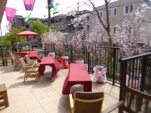 テラスランチ 写真