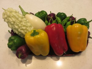 『採れたて野菜　part３』 写真