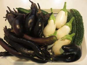 『採れたて野菜』 写真