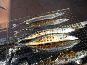 「秋刀魚」 写真