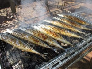 秋の味覚「秋刀魚」 写真