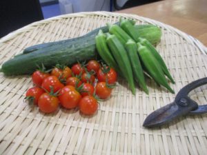 ☆八西☆園芸部 写真