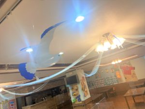 カモメが飛びました♪ 写真