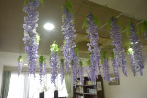 4階フロアの藤棚が満開です！ 写真