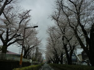 『遊びり・軽食会』 写真