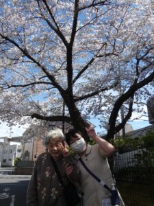 2025年桜の木の下で＜part2＞ 写真