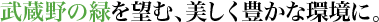 ������̗΂�]�ށA�������L���Ȋ��ɁB