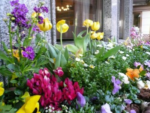 花のメルヘン・・・ 写真