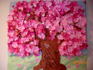 さくら～さくら～超花ざかり～♪ 写真