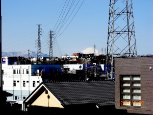 見えた見えた！ 写真