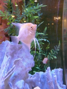 アタシ綺麗に写ってるかしら？ 写真