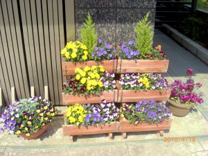 ヘッドドレスはたんぽぽで！ 写真