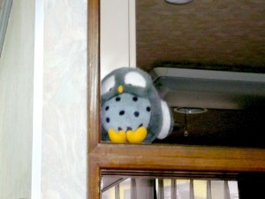 ＳＶワイド劇場「ふくろうは見た！」 写真