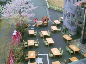 桜花を謳歌！出来ませんでした・・・ 写真