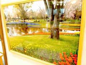 季節を切り取る名カメラマン！ 写真