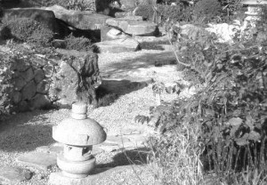 介護小説　衣裏の宝珠たち（いりのほうじゅたち）　５ 写真