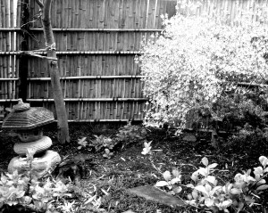 古刹（こさつ）庭園 写真