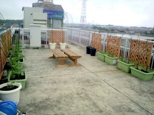 スクスク育て！ 写真