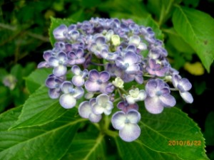 満足度１２０％ 写真