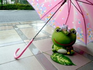 カエルさんの読書!? 写真