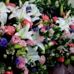 3527491690_ddd937a6f1