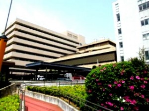 介護小説　衣裏の宝珠たち（いりのほうじゅたち）　１８ 写真