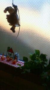 早くも下見にやってきました! 写真