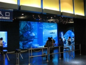 介護小説　衣裏の宝珠たち（いりのほうじゅたち）　２３ 写真